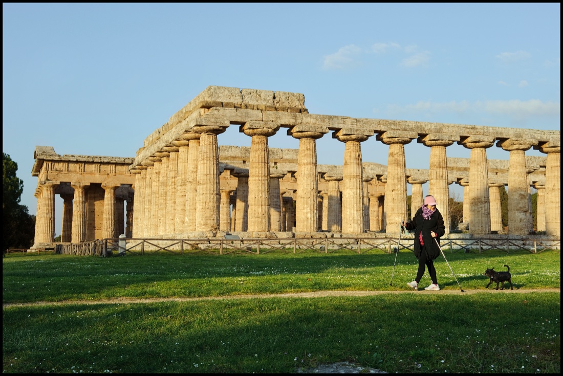 Paestum: la valle dei templi addormentati si è risvegliata – FOTO Paestum: la valle dei templi addormentati si è risvegliata – FOTO