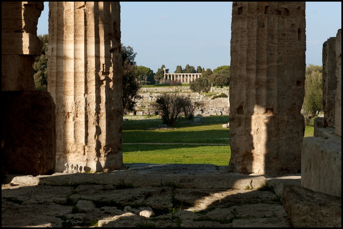Paestum: la valle dei templi addormentati si è risvegliata – FOTO Paestum: la valle dei templi addormentati si è risvegliata – FOTO