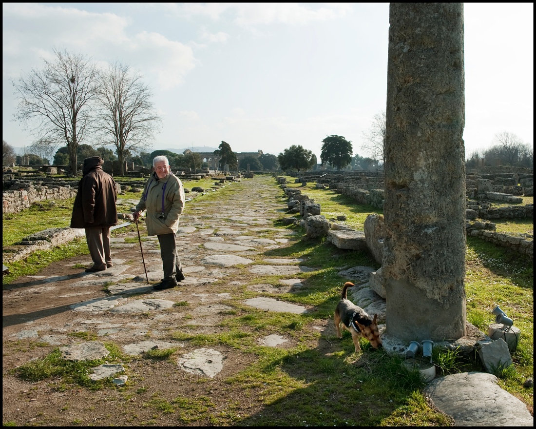 Paestum: la valle dei templi addormentati si è risvegliata – FOTO Paestum: la valle dei templi addormentati si è risvegliata – FOTO