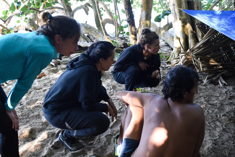 Isola dei Famosi 12: screzi tra i naufraghi, Degan e Urtis a rischio eliminazione Isola dei Famosi 12: screzi tra i naufraghi, Degan e Urtis a rischio eliminazione