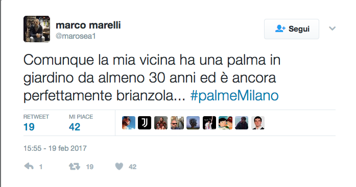 Palme a Milano tra polemiche e vandalismo