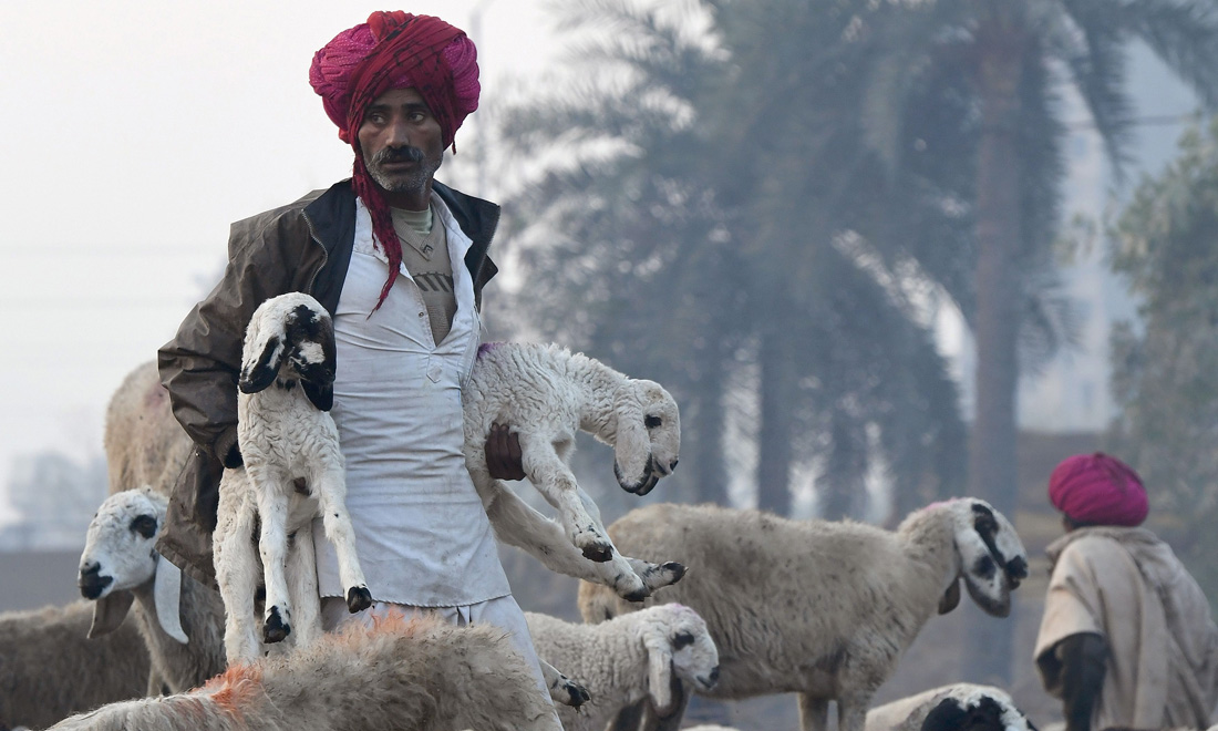 Le foto più belle della settimana – 11/17 febbraio Le foto più belle della settimana – 11/17 febbraio