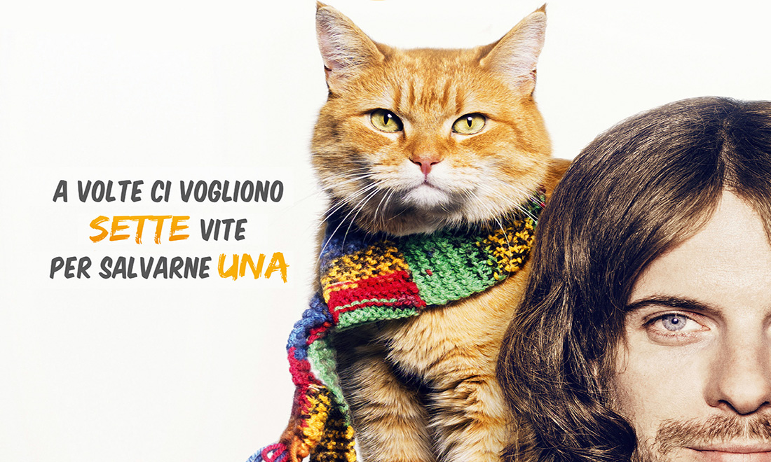 Il gatto, 10 libri sul felino di casa più amato