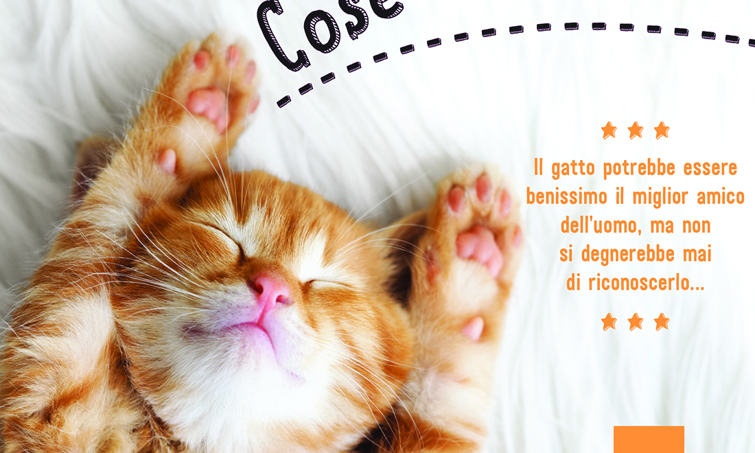 Il gatto, 10 libri sul felino di casa più amato