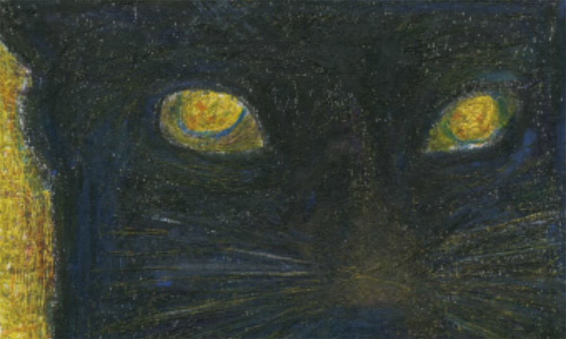 Il gatto, 10 libri sul felino di casa più amato