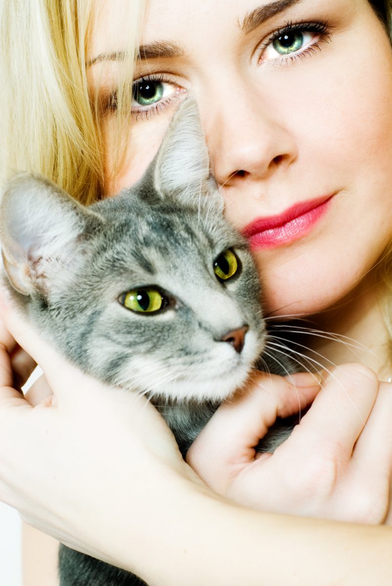 Oggi è la festa del gatto