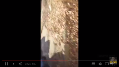 Chicago: sparatoria in diretta facebook live | video