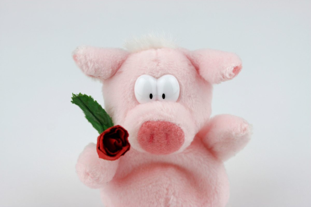 Paese che vai, San Valentino che trovi