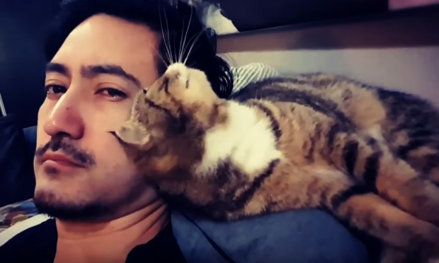 Impossibile resistere ai gatti coccolosi