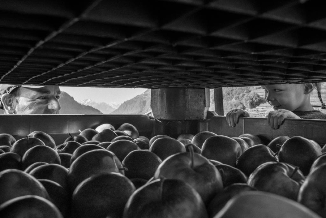 Il marketing di filiera di Pink Lady