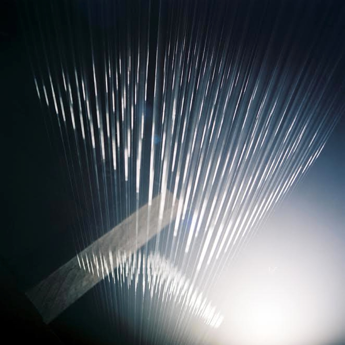 Cinque Mostre: Vision(s) Cinque Mostre: Vision(s)