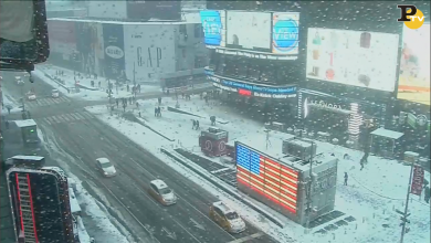 New York: tempesta di neve a Times Square | video