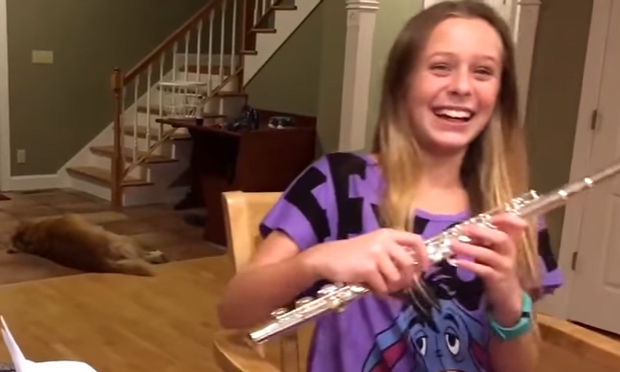 Come reagisce il cane al suono del flauto?