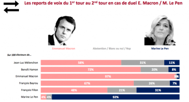 Francia: Wikileaks e la Russia contro Macron