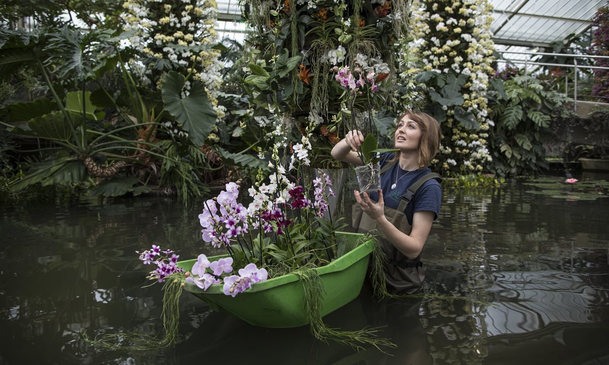 Le foto più belle della settimana – 28 gennaio/3 febbraio