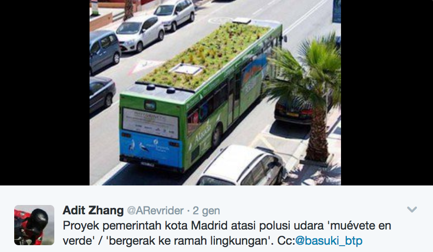 A Madrid giardini pensili sui bus contro lo smog A Madrid giardini pensili sui bus contro lo smog