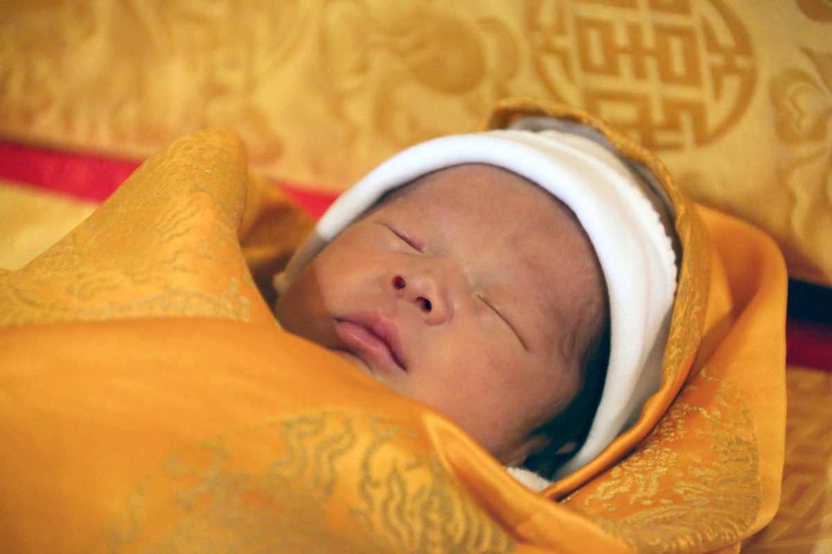 Galleria foto 'Baby George ha un “rivale”' - foto 5