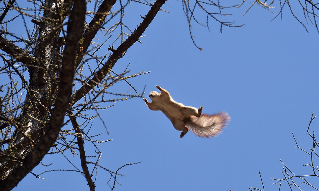 Le foto più belle della settimana – 25/31 marzo