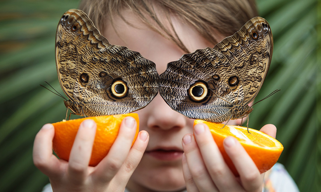 Le foto più belle della settimana – 25/31 marzo