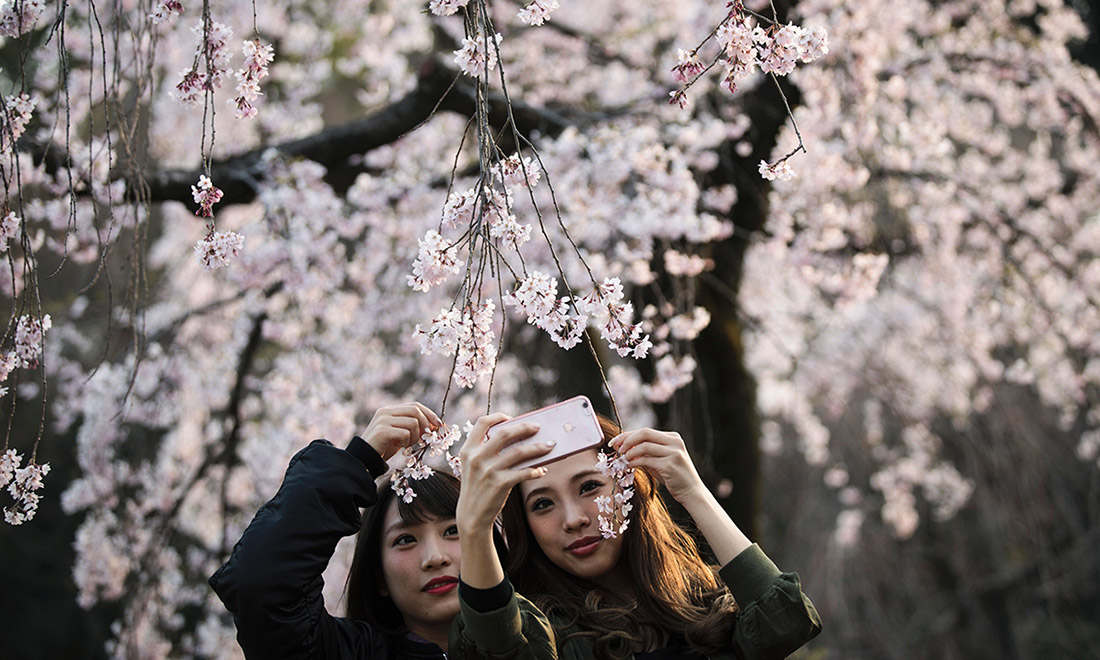 Le foto più belle della settimana – 25/31 marzo