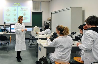 Italy stands out as a virtuous example of cooperation between school and companies