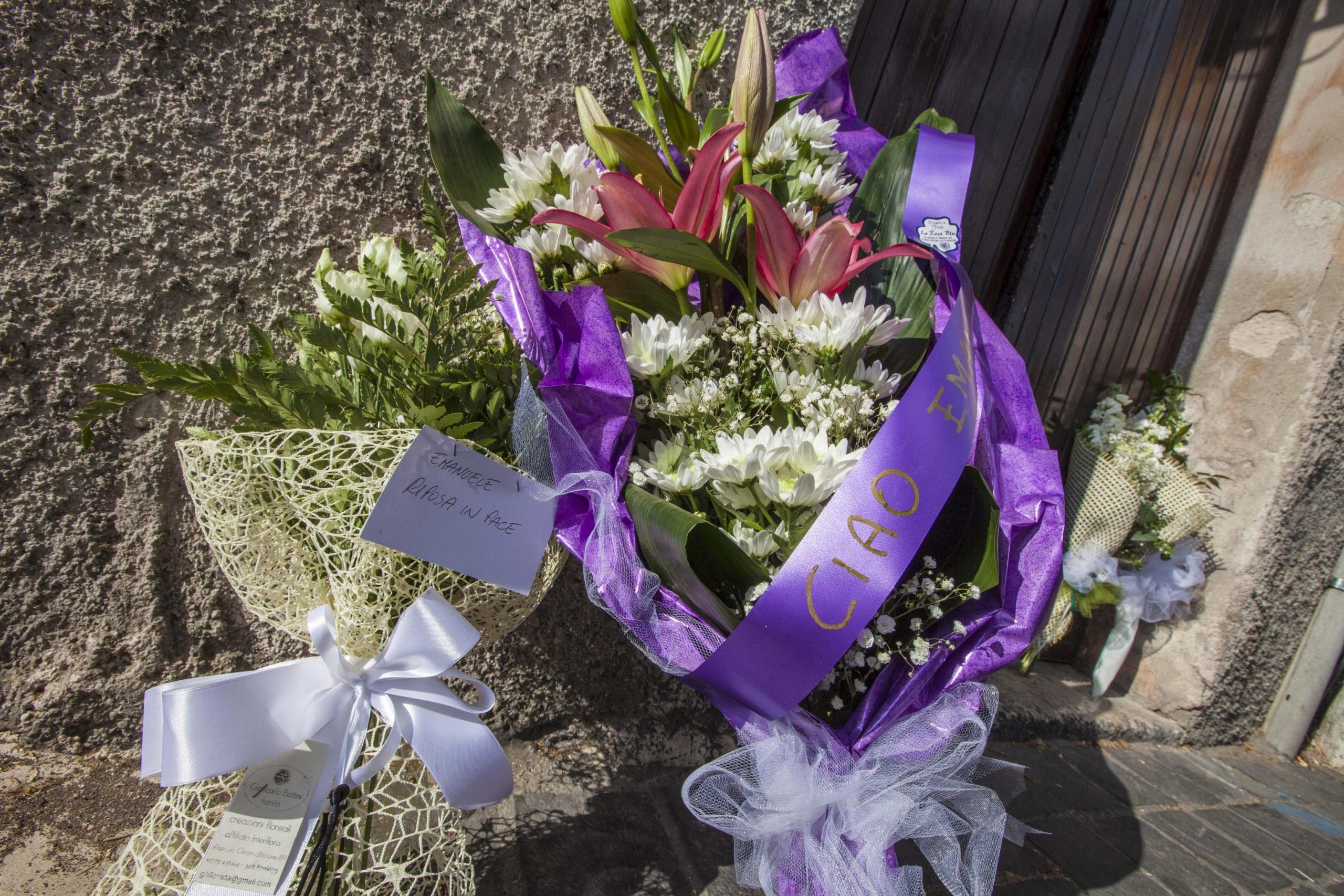 Il branco: come uccide e perché