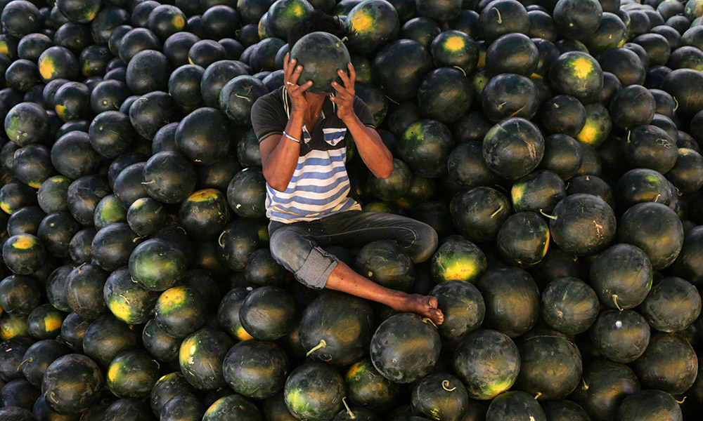 Le foto più belle della settimana – 18/24 marzo