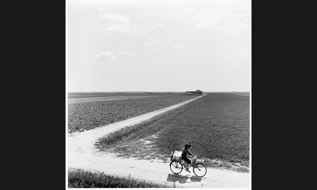 Pietro Donzelli, il Delta del Po negli anni ’50: la mostra a Rovigo