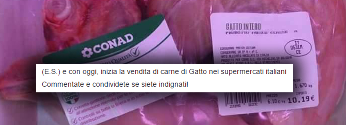 Fake News – Ep. 84: Totti tifa Lazio e Raz Degan lascia l’Isola? Fake News – Ep. 84: Totti tifa Lazio e Raz Degan lascia l’Isola?