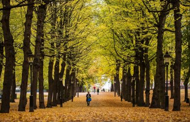 Perché i Paesi scandinavi sono i più felici del mondo