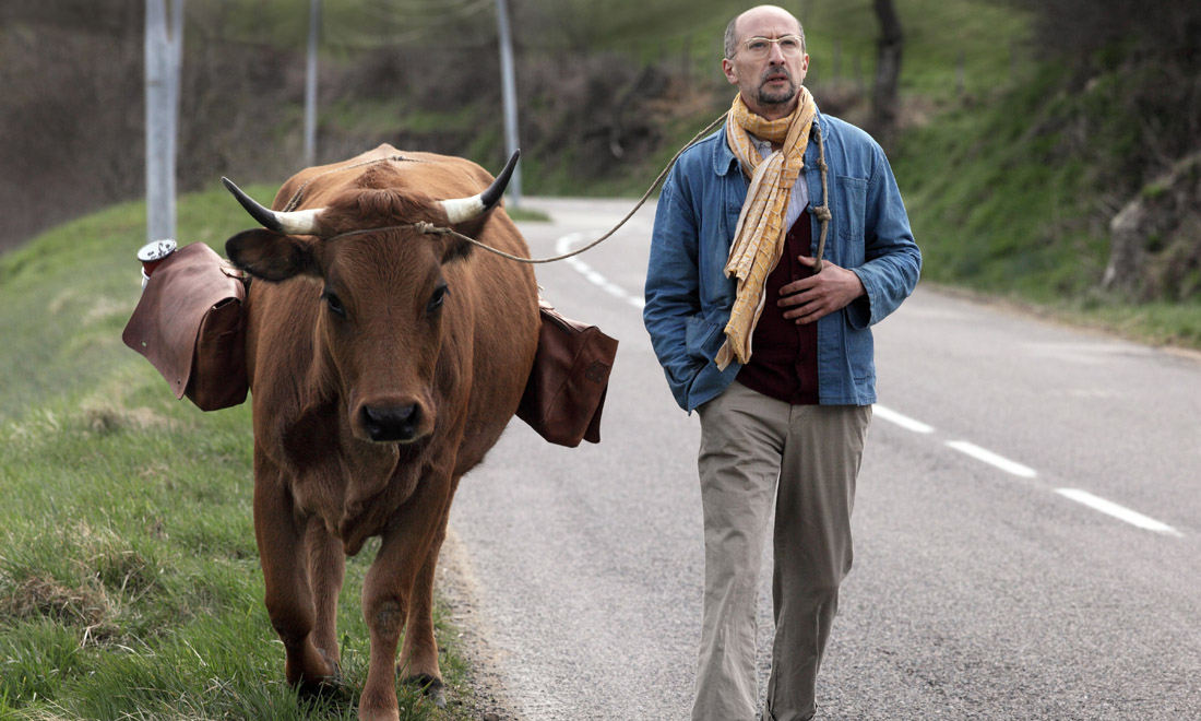 In viaggio con Jacqueline, road movie in compagnia di una mucca – Video In viaggio con Jacqueline, road movie in compagnia di una mucca – Video