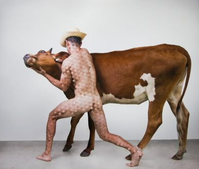 International Photo Project – La Habana, Milano, New York