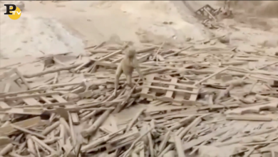 Perù: donna salvata dalla marea di fango per l’alluvione | video