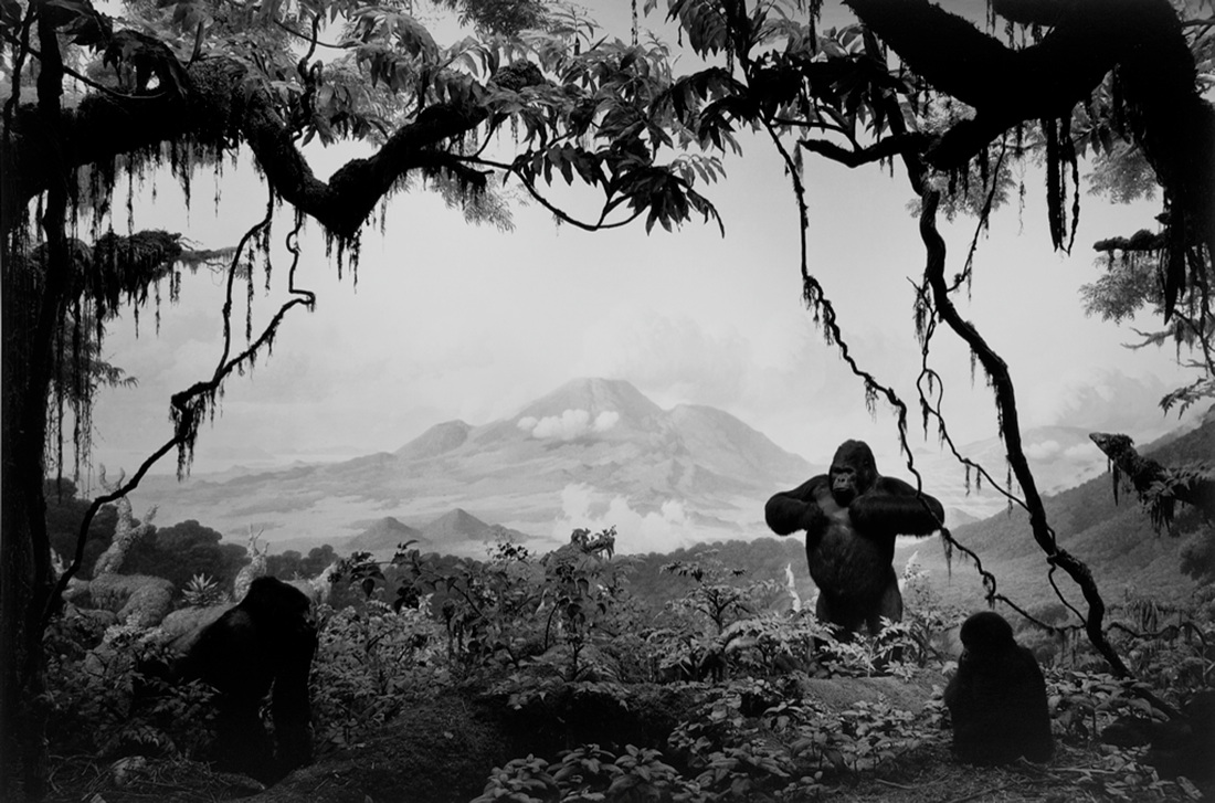 Fondazione Fotografia Modena – 10 YEARS OLD