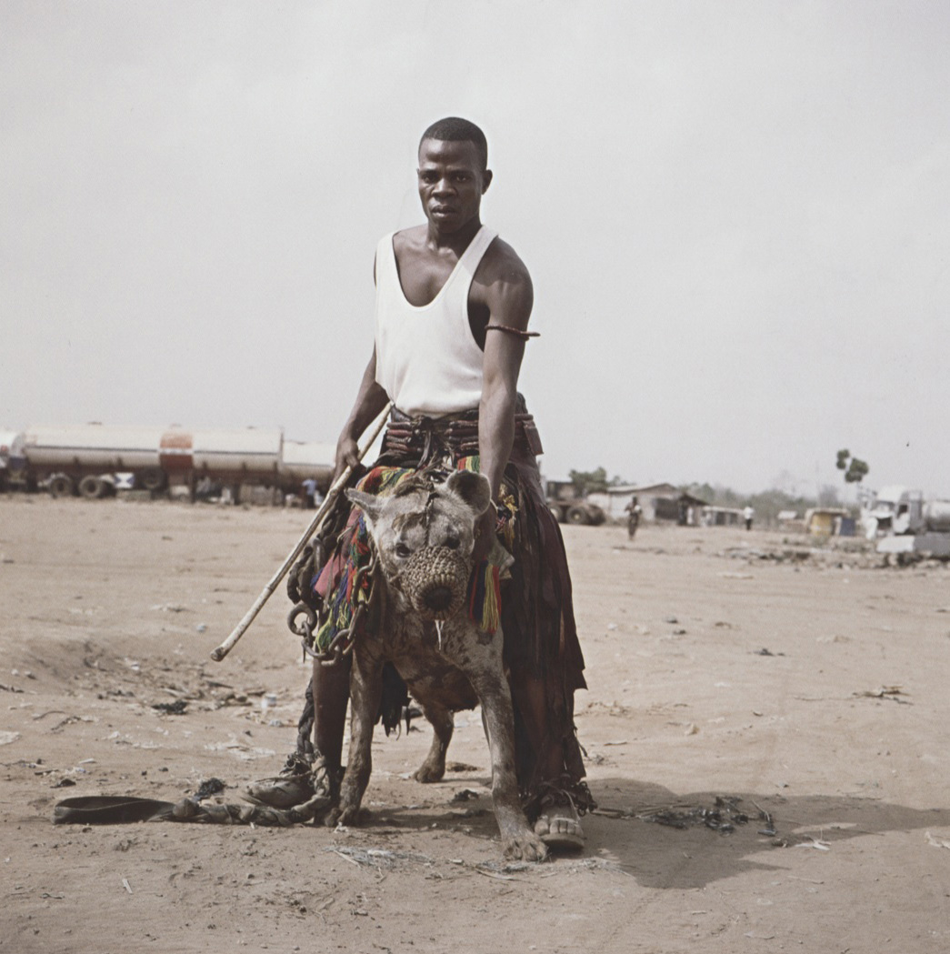 Fondazione Fotografia Modena – 10 YEARS OLD