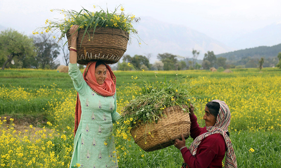8 marzo 2017: la Festa della donna nel mondo 8 marzo 2017: la Festa della donna nel mondo