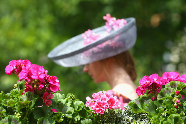 8 marzo, perché si regalano le mimose? 8 marzo, perché si regalano le mimose?