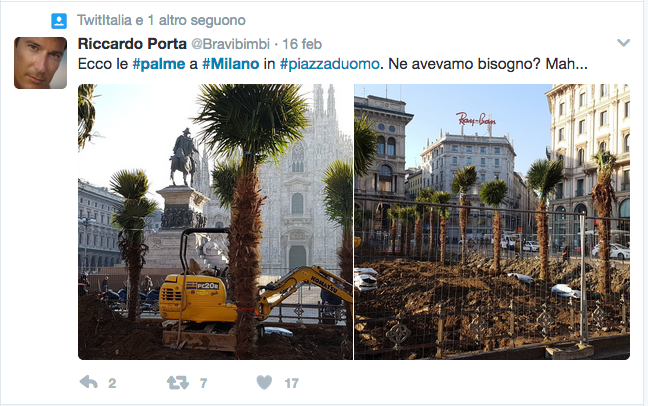 Le palme in Piazza Duomo: cosa ne pensa il sindaco Sala Le palme in Piazza Duomo: cosa ne pensa il sindaco Sala