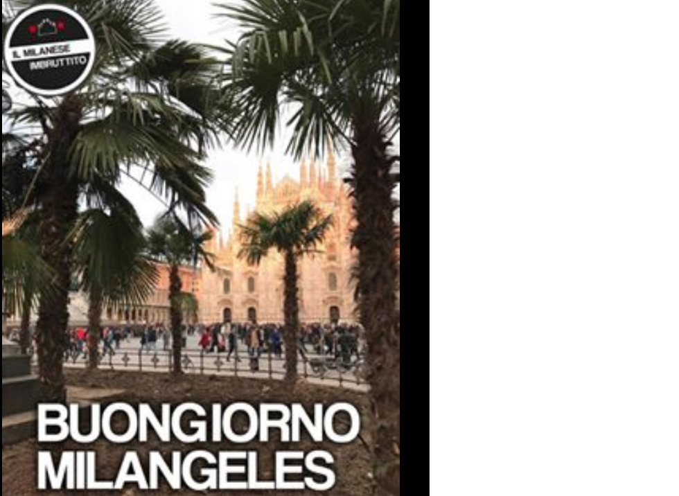 Le palme in Piazza Duomo: cosa ne pensa il sindaco Sala Le palme in Piazza Duomo: cosa ne pensa il sindaco Sala