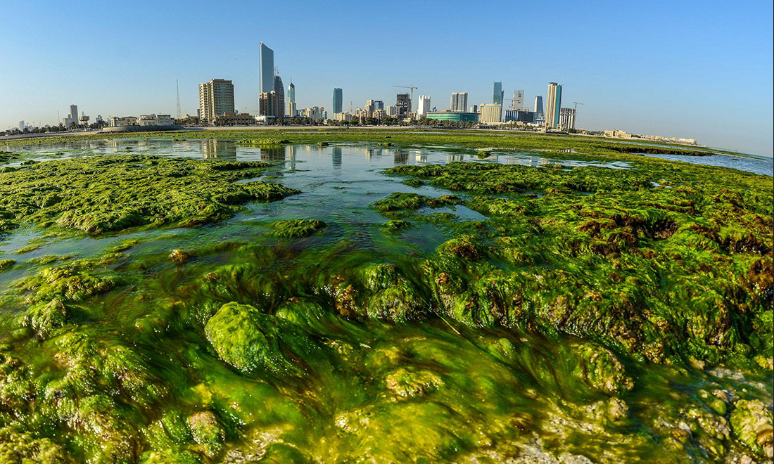 Le foto più belle della settimana – 25 febbraio/3 marzo