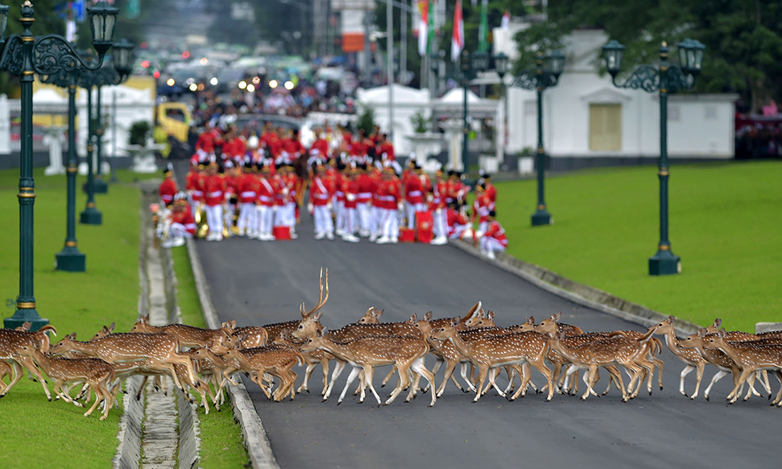 Le foto più belle della settimana – 25 febbraio/3 marzo