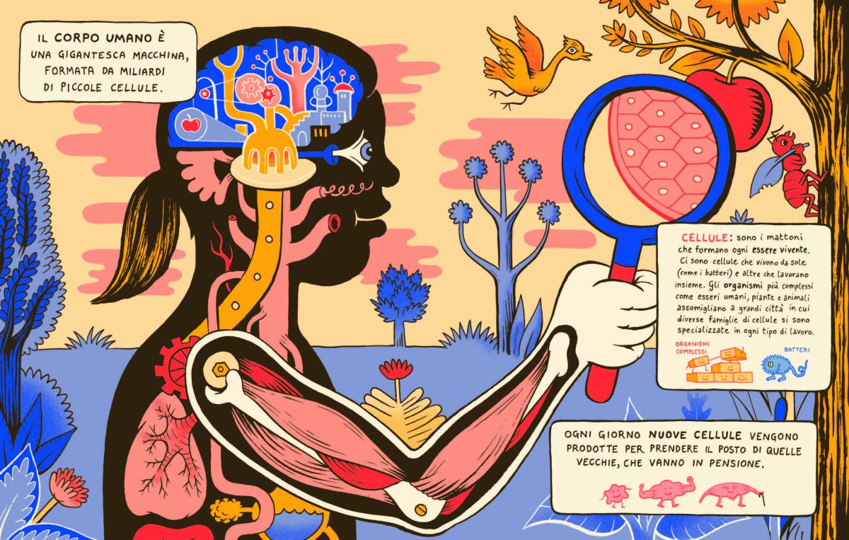 Galleria foto '‘Benvenuti a Cervellopoli’: un viaggio alla scoperta del cervello' - foto 2