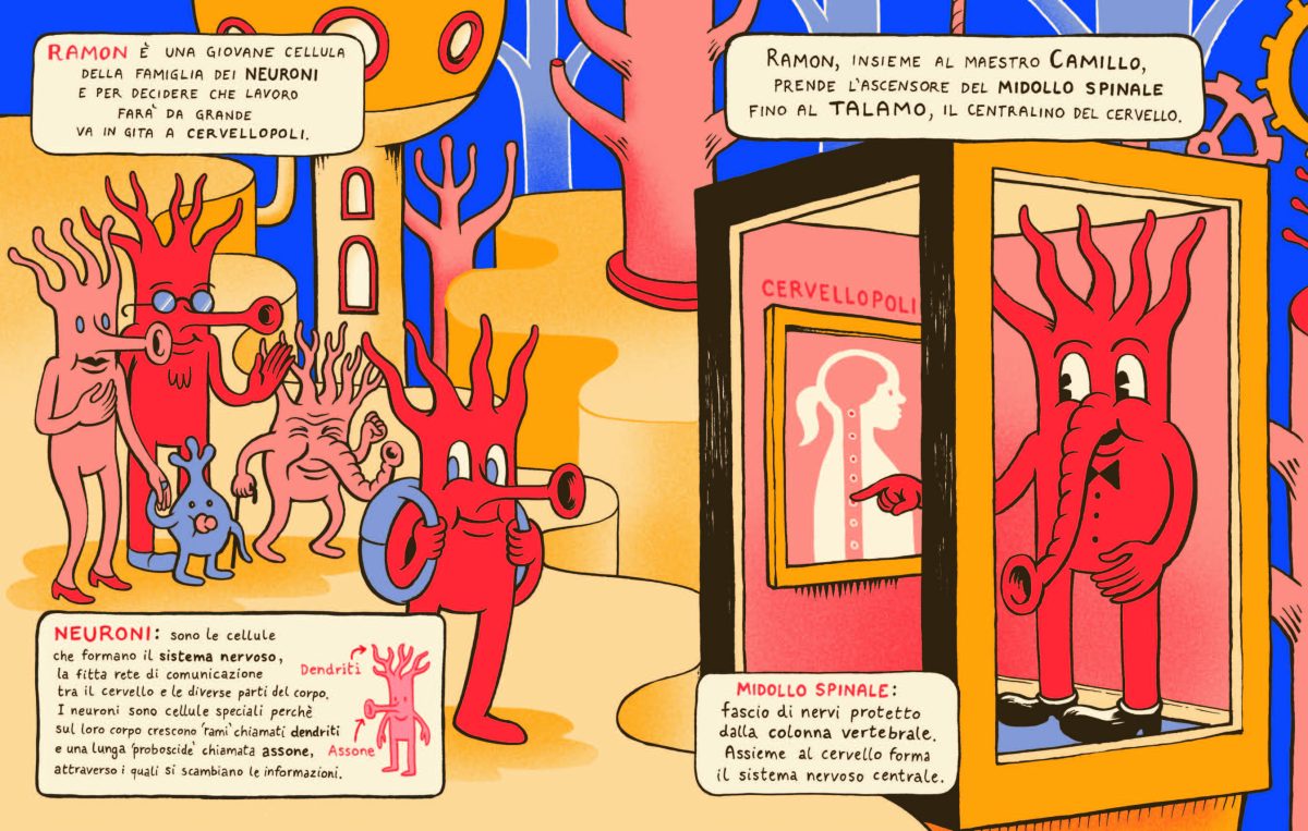 Galleria foto '‘Benvenuti a Cervellopoli’: un viaggio alla scoperta del cervello' - foto 3