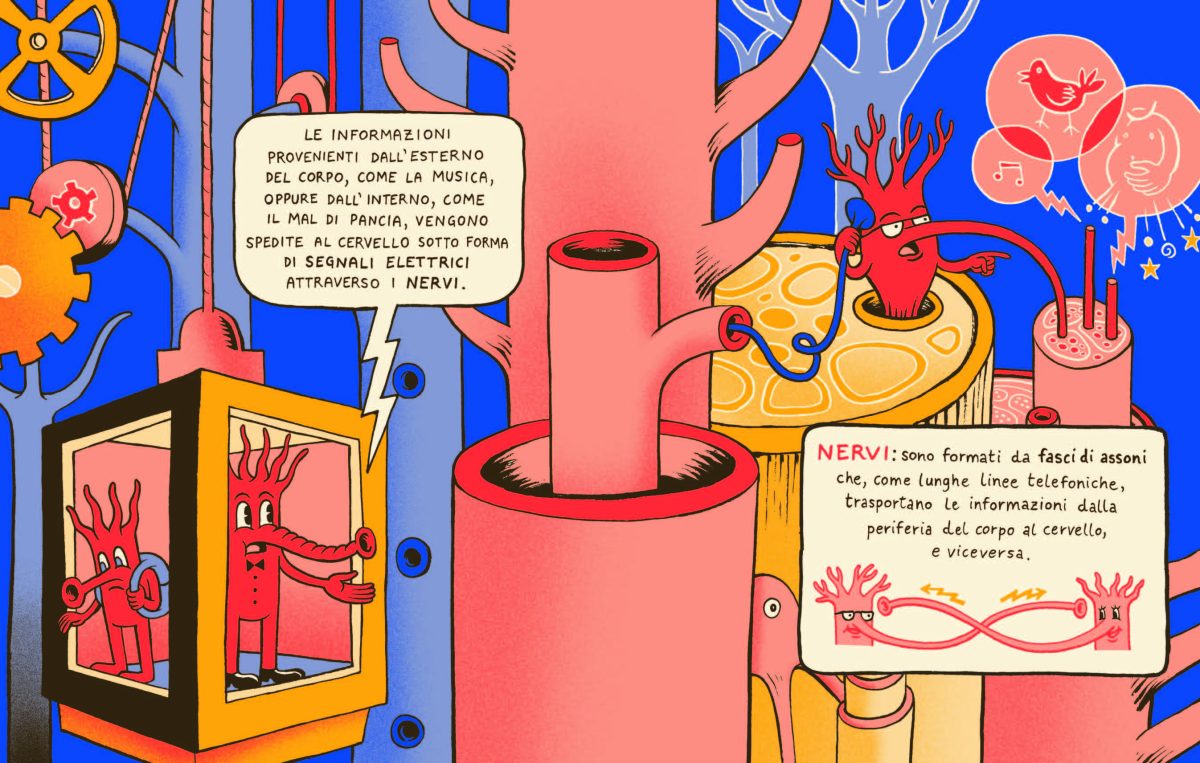 Galleria foto '‘Benvenuti a Cervellopoli’: un viaggio alla scoperta del cervello' - foto 4