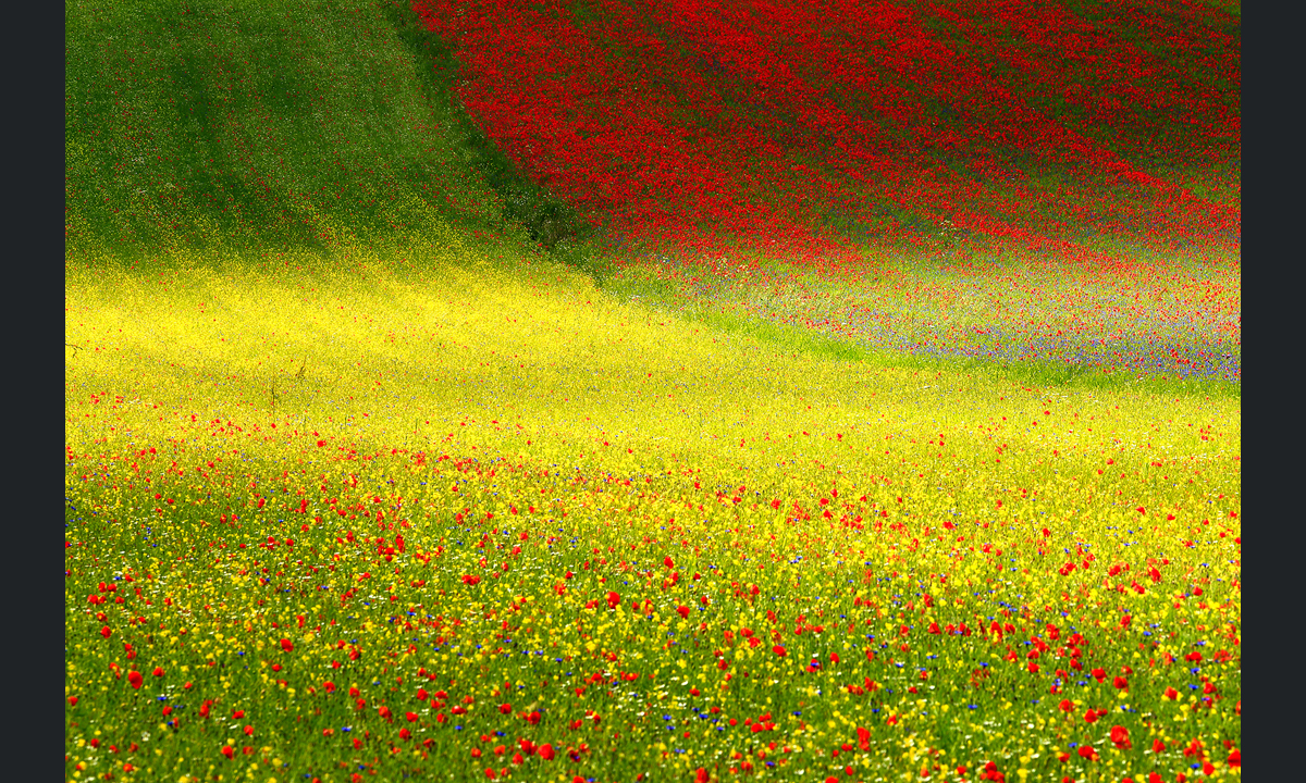 Sony World Photography Awards 2017: le foto dei finalisti italiani