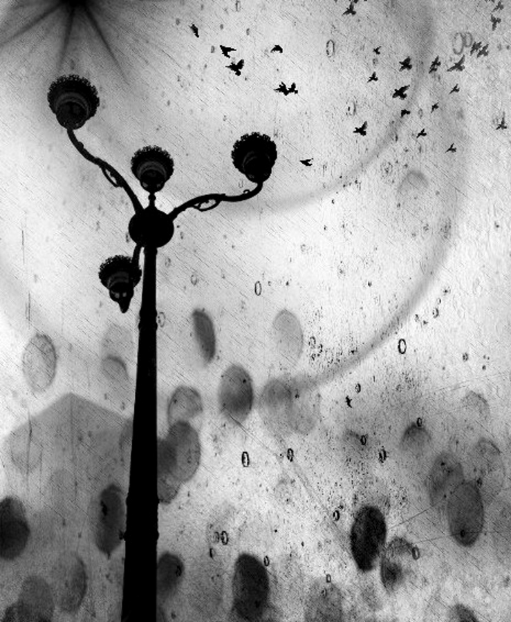 Sony World Photography Awards 2017: le foto dei finalisti italiani