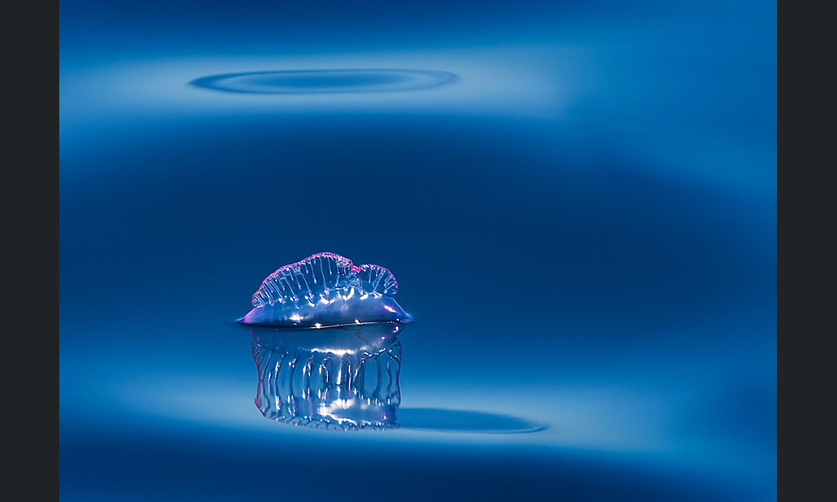 Sony World Photography Awards 2017: le foto dei finalisti italiani