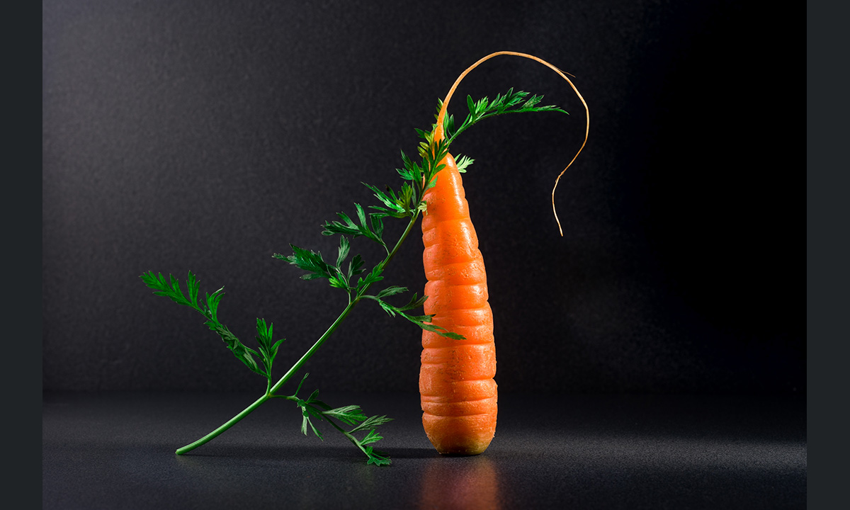 Sony World Photography Awards 2017: le foto dei finalisti italiani