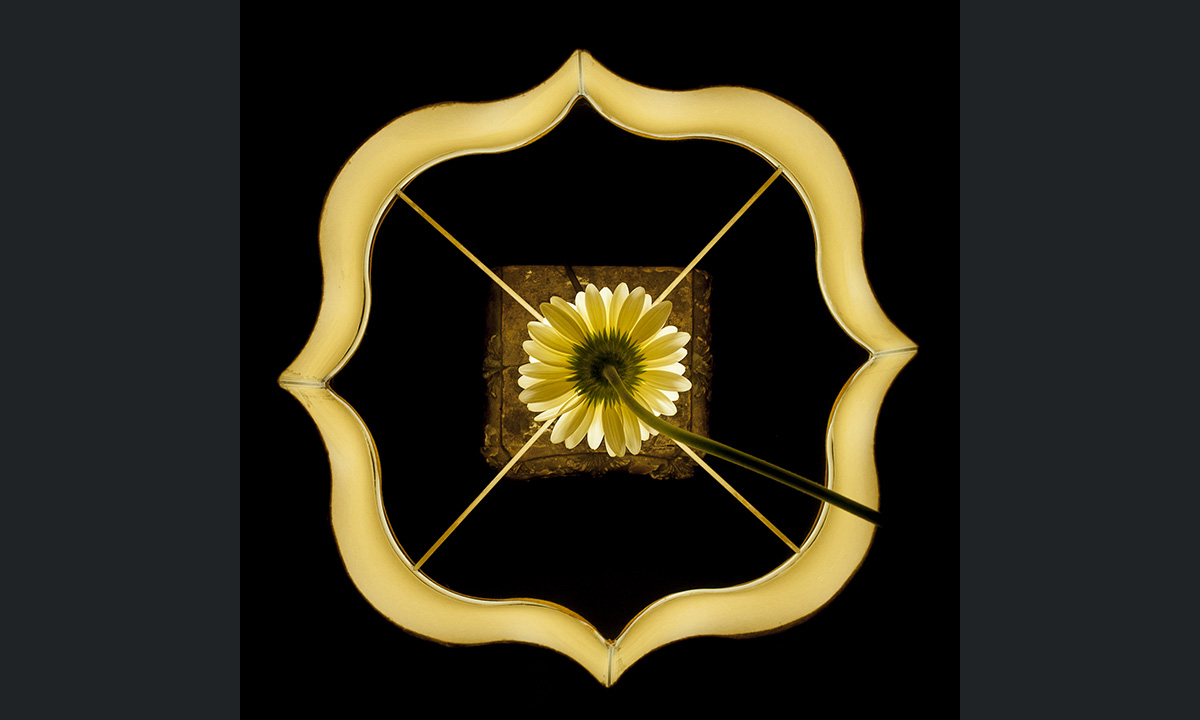 Sony World Photography Awards 2017: le foto dei finalisti italiani