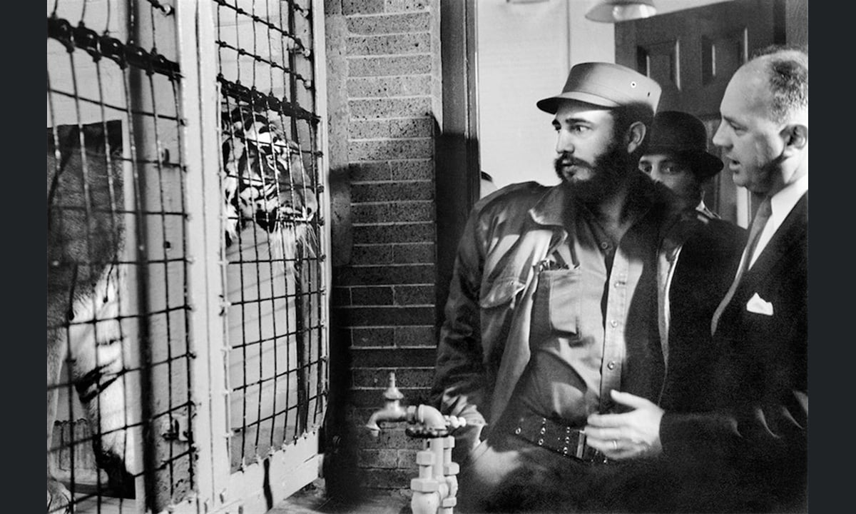 Che Guevara, le foto di Alberto Korda in mostra a Bologna Che Guevara, le foto di Alberto Korda in mostra a Bologna